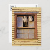 Postkarte für klassisches Foto (Vorne/Hinten)