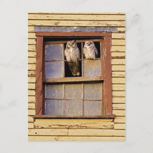 Postkarte für klassisches Foto (Vorderseite)