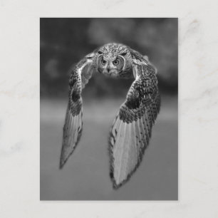 Postkarte für klassisches Foto