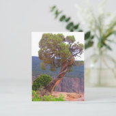 Postkarte für klassisches Foto (Stehend Vorderseite)