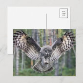 Postkarte für klassisches Foto (Vorne/Hinten)
