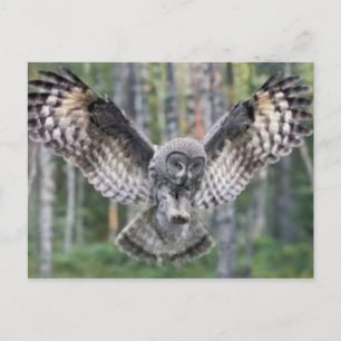 Postkarte für klassisches Foto