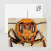 Postkarte für klassisches Foto (Vorne/Hinten)