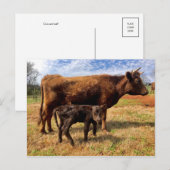 Postkarte für klassisches Foto (Vorne/Hinten)