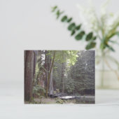 Postkarte für klassisches Foto (Stehend Vorderseite)