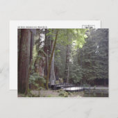 Postkarte für klassisches Foto (Vorne/Hinten)