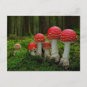 Postkarte für klassisches Foto