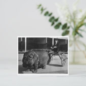 Postkarte für klassisches Foto (Stehend Vorderseite)