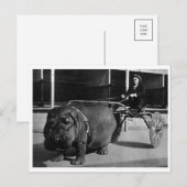 Postkarte für klassisches Foto (Vorne/Hinten)