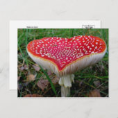 Postkarte für klassisches Foto (Vorne/Hinten)