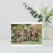 Postkarte für klassisches Foto (Stehend Vorderseite)