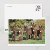 Postkarte für klassisches Foto (Vorne/Hinten)