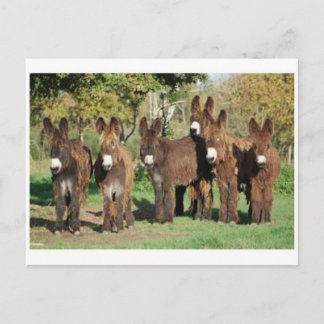 Postkarte für klassisches Foto