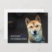 Postkarte für koreanischen Jindo (Vorne/Hinten)