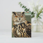 Postkarte für Langhaarkasse (Stehend Vorderseite)