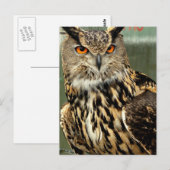 Postkarte für Langhaarkasse (Vorne/Hinten)