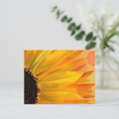 Postkarte für lebendige Sonnenblumen (Stehend Vorderseite)