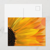 Postkarte für lebendige Sonnenblumen (Vorne/Hinten)