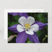 Postkarte für Lila und weiße Blume (Vorne/Hinten)