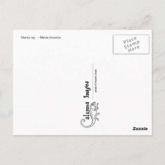 Postkarte für Mantarochen - 02 (Rückseite)