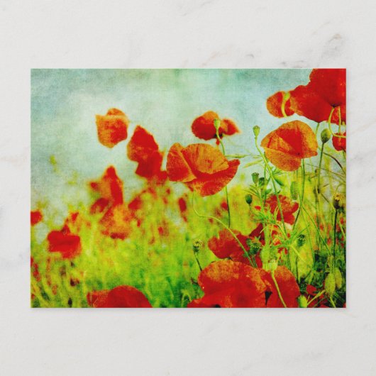 Postkarte für Mohnfelder (Vorderseite)