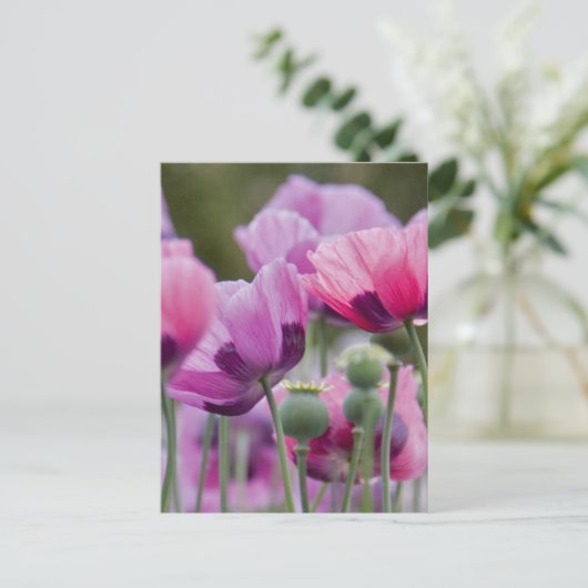 Postkarte für Mohnfelder (Stehend Vorderseite)