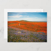 Postkarte für Mohnfelder (Vorne/Hinten)