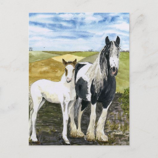 Postkarte für Mutter und Fohlen (Vorderseite)