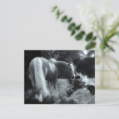 Postkarte für mystische Nachtpferde (Stehend Vorderseite)