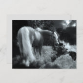 Postkarte für mystische Nachtpferde (Vorne/Hinten)