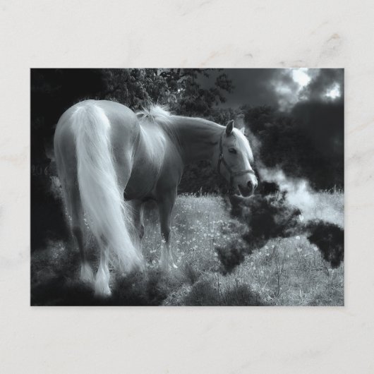 Postkarte für mystische Nachtpferde (Vorderseite)