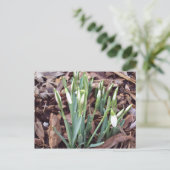 Postkarte für neues Wachstum (Stehend Vorderseite)