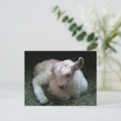 Postkarte für Neugeborene (Stehend Vorderseite)