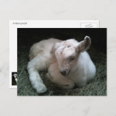 Postkarte für Neugeborene (Vorne/Hinten)