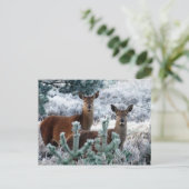 Postkarte für Neugier (Stehend Vorderseite)