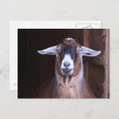 Postkarte für Niedliche Ziegen (Vorne/Hinten)
