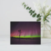 Postkarte für Nordlichter (Stehend Vorderseite)