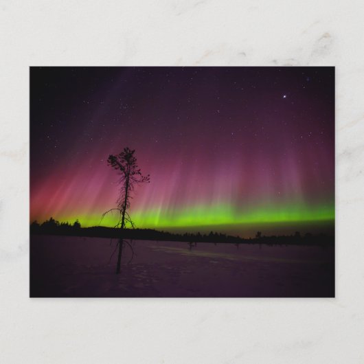Postkarte für Nordlichter (Vorderseite)