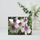 Postkarte für Orchideen, anpassen (Stehend Vorderseite)