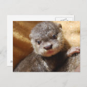 Postkarte für Orphanotter (Vorne/Hinten)