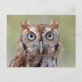 Postkarte für Ostseeschauen (Vorderseite)