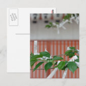 Postkarte für Papiervermögen (Vorne/Hinten)