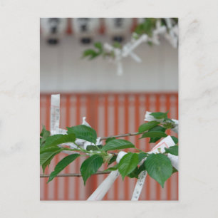 Postkarte für Papiervermögen