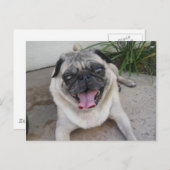 Postkarte für Personalisiertes Foto (Vorne/Hinten)