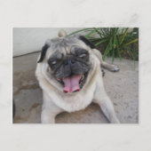 Postkarte für Personalisiertes Foto (Vorderseite)