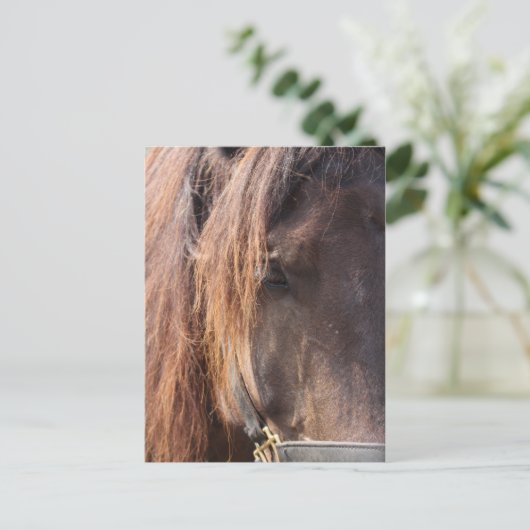 Postkarte für Pferde (Stehend Vorderseite)