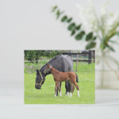 Postkarte für Pferde (Stehend Vorderseite)