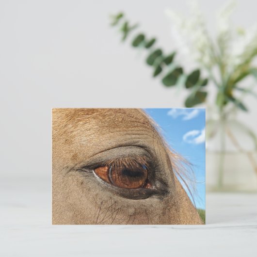 Postkarte für Pferde (Stehend Vorderseite)