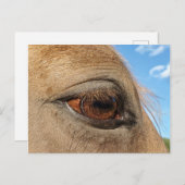 Postkarte für Pferde (Vorne/Hinten)
