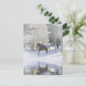 Postkarte für Pferde (Stehend Vorderseite)